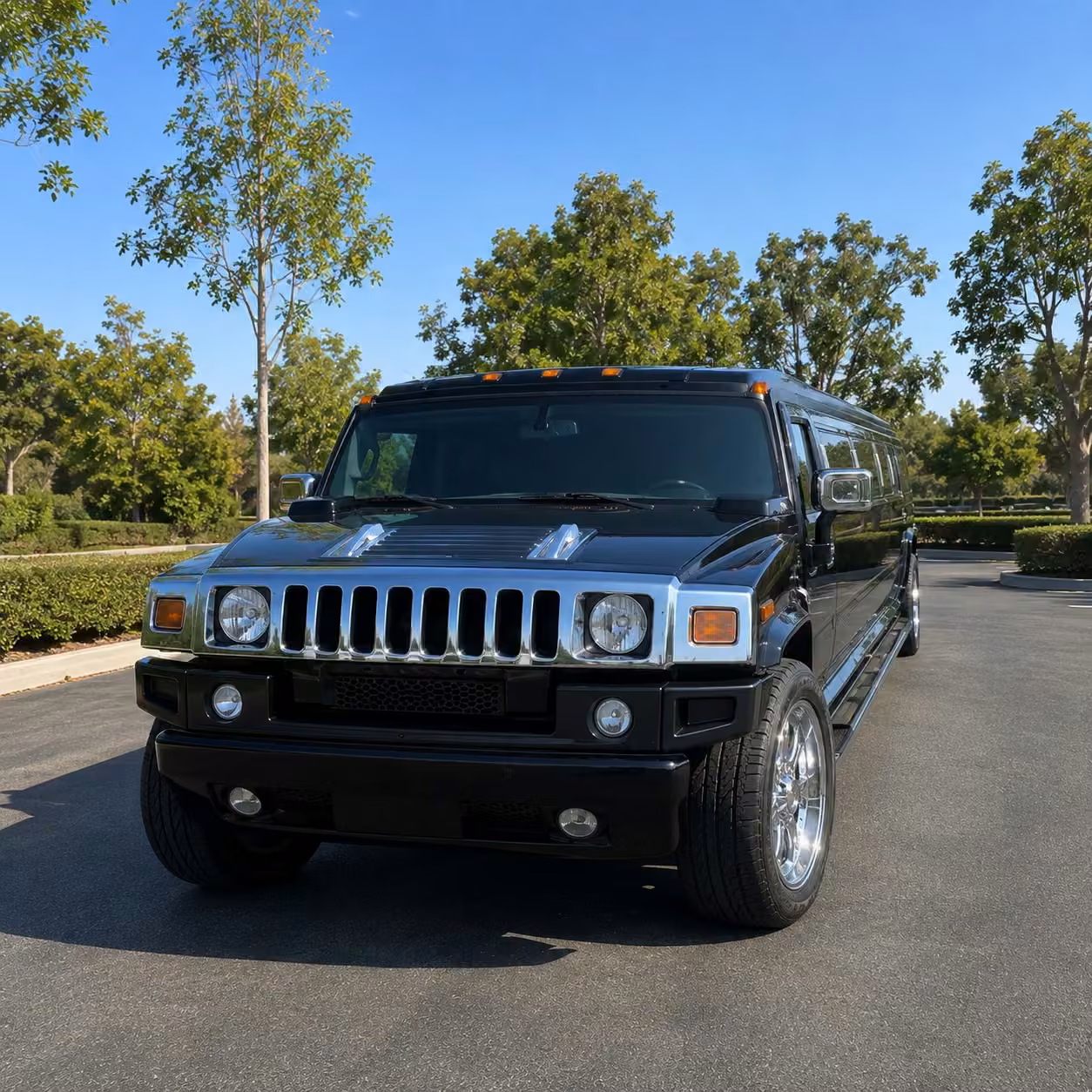 why choose orlandolimos.net